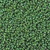 MIYUKI Round Rocailles Beads X-SEED-G007-RR0480-3