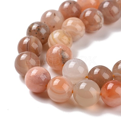 Natural Botswana Agate Beads Strands G-G925-01B-1