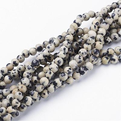 Natural Dalmatian Jasper Beads Strands GSR4mmC004-1