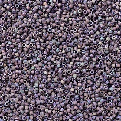 MIYUKI Delica Beads X-SEED-J020-DB1067-1