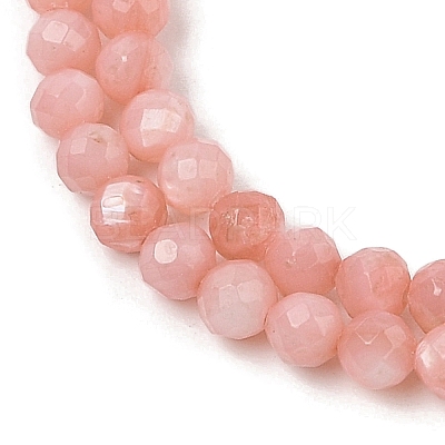 Natural Freshwater Shell Dyed Beads Strands SHEL-R100-12A-03-1