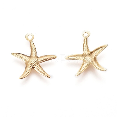 Iron Pendants IFIN-I030-10G-1