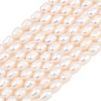 Natural Cultured Freshwater Pearl Beads Strands PEAR-D003-01D-06-1