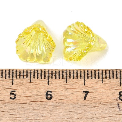 Transparent Acrylic Bead Caps OACR-G054-03E-1