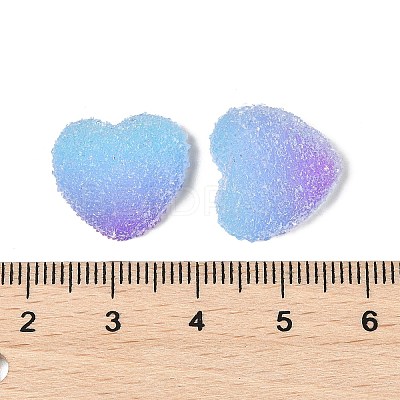 Imitation Candy Food Style Resin Cabochons RESI-R461-01J-1