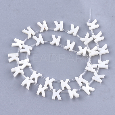 Freshwater Shell Beads X-SHEL-T012-59K-1
