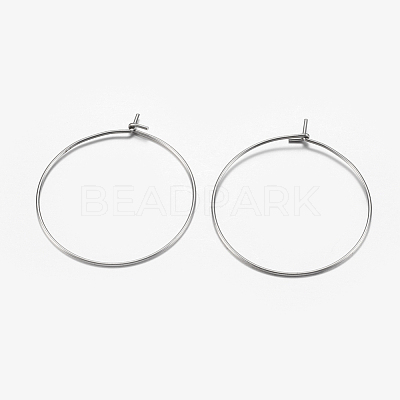 316 Surgical Stainless Steel Hoop Earrings Findings STAS-I097-050A-1