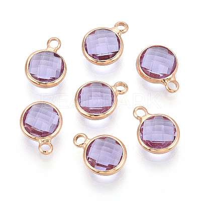 Golden Tone Brass Glass Charms GLAA-ZX008-24I-G-1