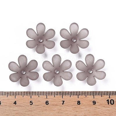 Transparent Acrylic Beads MACR-S373-107-D02-1