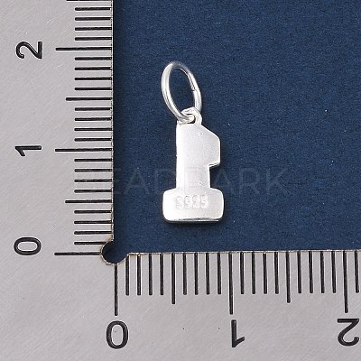 Number Series 925 Sterling Silver Charms STER-Q002-01B-1