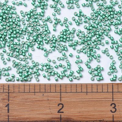 MIYUKI Delica Beads X-SEED-J020-DB1182-1