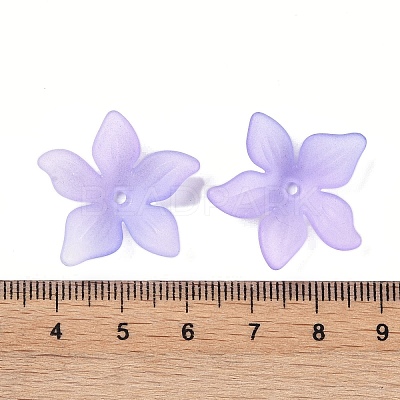Transparent Acrylic Beads Caps OACR-B022-02A-1