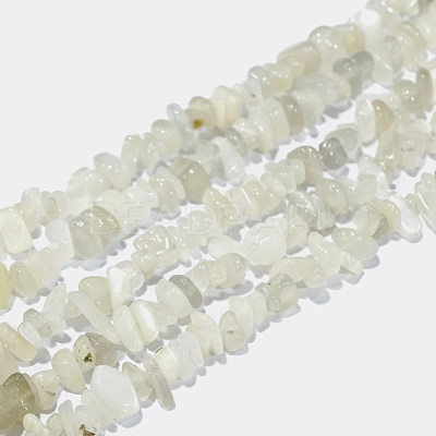 Natural White Moonstone Chip Beads Strands G-E271-112-1