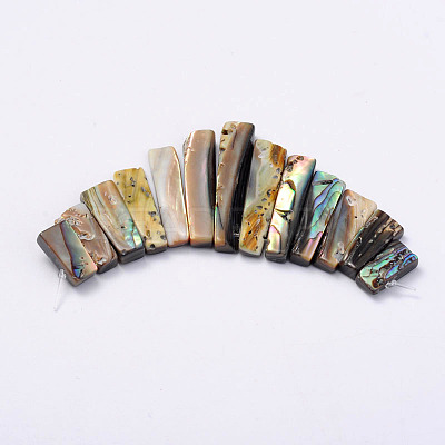 Rectangle Natural Abalone Shell/Paua ShellGraduated Beads Strands SSHEL-P002-05-1