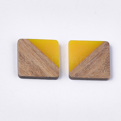 Resin & Walnut Wood Cabochons RESI-S358-90-1