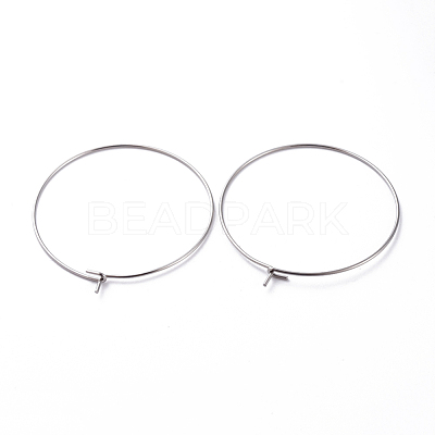 316 Surgical Stainless Steel Hoop Earring Findings STAS-J025-01E-P-1