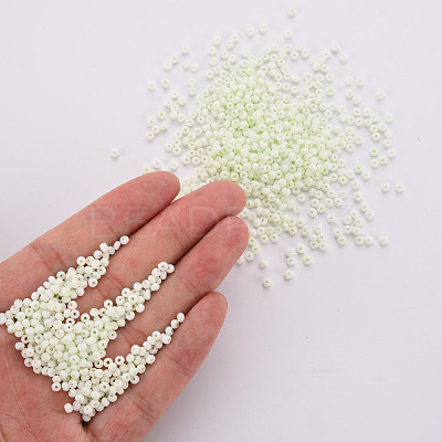 8/0 Opaque Glass Seed Beads SEED-S048-N-010-1