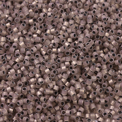 MIYUKI Delica Beads Small X-SEED-J020-DBS0191-1