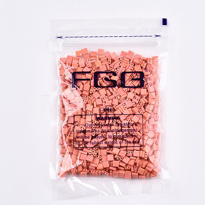 FGB 2-Hole Glass Seed Beads SEED-S031-L-ST50FR-1