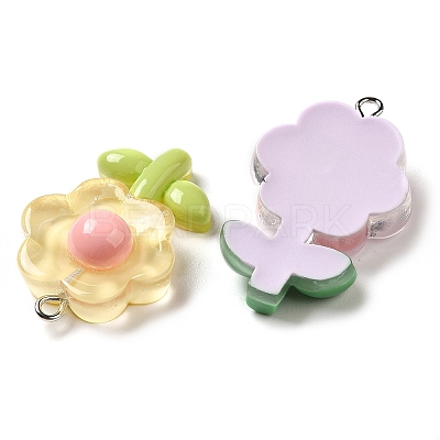 Translucent Resin Pendants CRES-M030-02-1