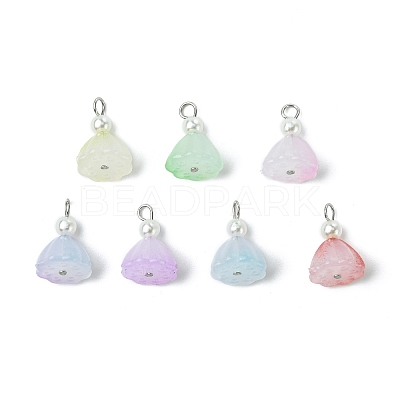 7Pcs Acrylic Charms PALLOY-JF03242-1