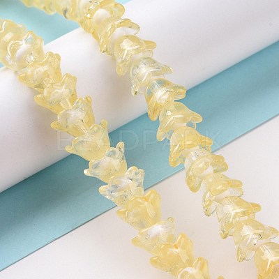 Transparent Glass Beads Strands LAMP-H061-01C-06-1