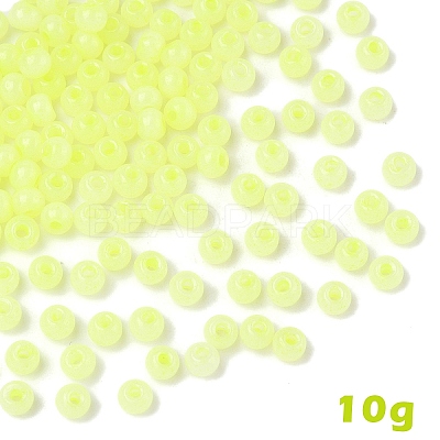 10G Glass Seed Beads SEED-YW0003-03F-1