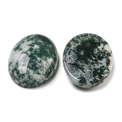 Natural Tree Agate Cabochons G-M430-01-1