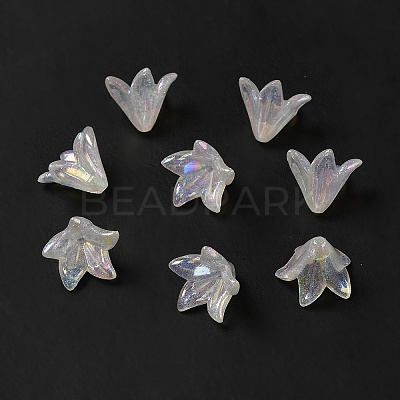 Transparent Acrylic Bead Caps LS-X-OACR-H016-03-1