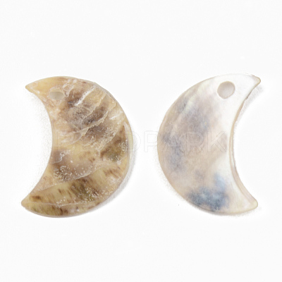 Natural Akoya Shell Pendants X-SHEL-R048-026-1