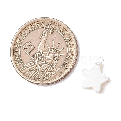 Natural Freshwater Shell Flower Star Heart Charms with Brass Bails PALLOY-JF05098-1