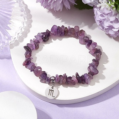 Natural Amethyst Chip Beaded Stretch Bracelets BJEW-JB11133-10-1