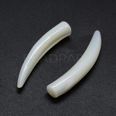 Shell Beads SSHEL-G020-03B-01-1