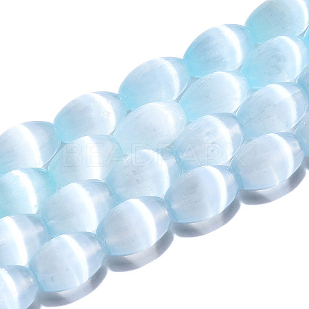 Dyed Natural Selenite Beads Strands G-T138-233D-1