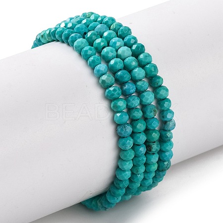 Natural Howlite Beads Strands G-H025-03A-02-1