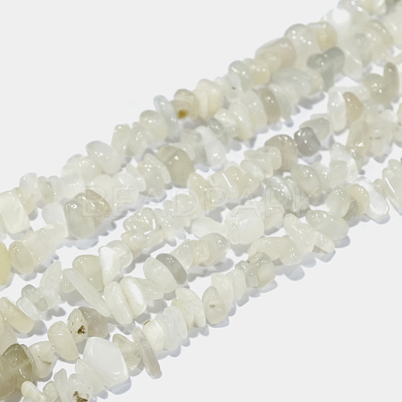 Natural White Moonstone Chip Beads Strands G-E271-112-1