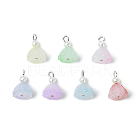 7Pcs Acrylic Charms PALLOY-JF03242-1