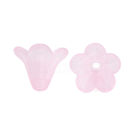 Frosted Acrylic Beads PL692-6-1