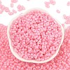 Baking Paint Glass Seed Beads SEED-L011-09A-26-2
