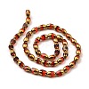 Faceted Electroplate Glass Beads Strands EGLA-P051-04A-A01-3
