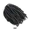 Bomb Twist Crochet Hair OHAR-G005-07A-3