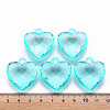 Transparent Acrylic Pendants TACR-T024-03B-946-4