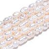 Natural Cultured Freshwater Pearl Beads Strands X-PEAR-N012-04R-1
