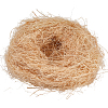 1Pc Raffia Grass Thread Filler AJEW-CN0005-44-1