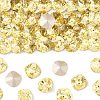 Preciosa® MAXIMA Crystal Fancy Stones X-PRC-FC12-80100-1