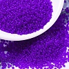 MIYUKI Round Rocailles Beads SEED-G007-RR0151F-1