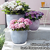 3Pcs 3 Styles Diatomaceous Earth Flower Pot  Pads DIY-OC0014-84B-5