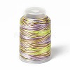 3-Ply Segment Dyed Nylon Braided Cords NWIR-F011-01C-1