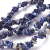 Natural Sodalite Beads Strands X-G-G782-31-1