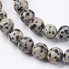 Natural Dalmatian Jasper Stone Bead Strands G-R193-14-8mm-3